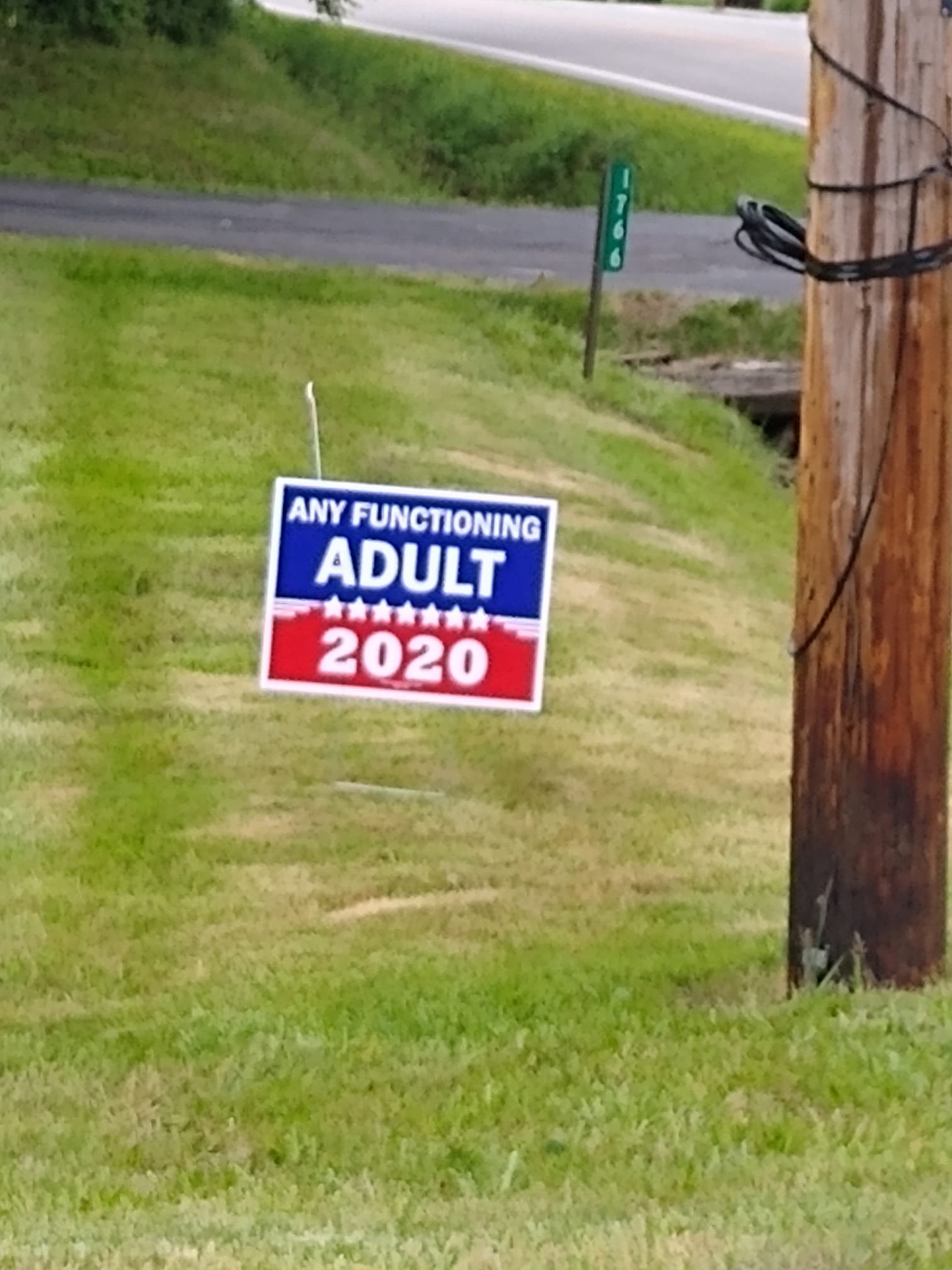 Any Functioning Adult