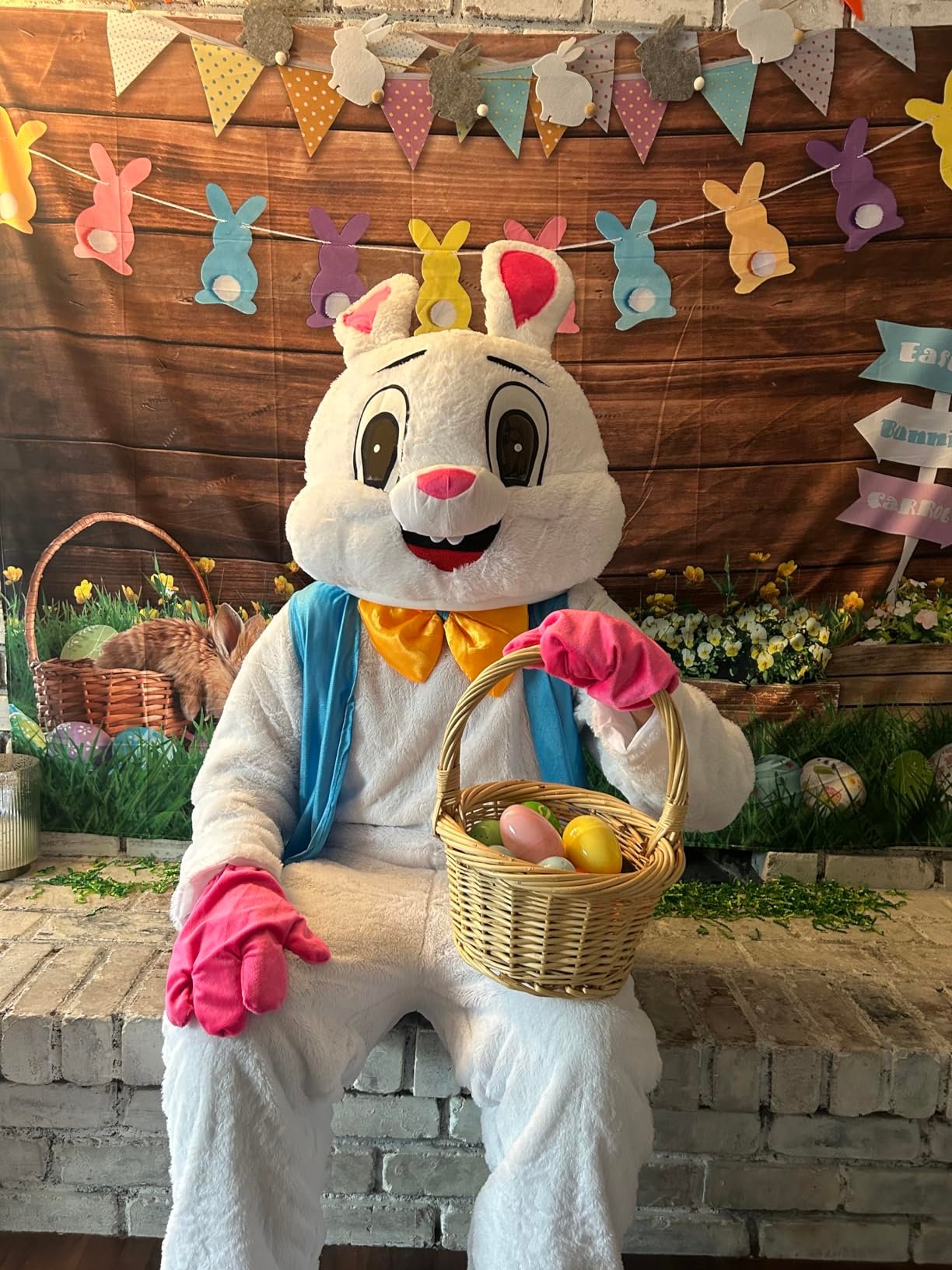Residential Mascot Services - Easter Bunny